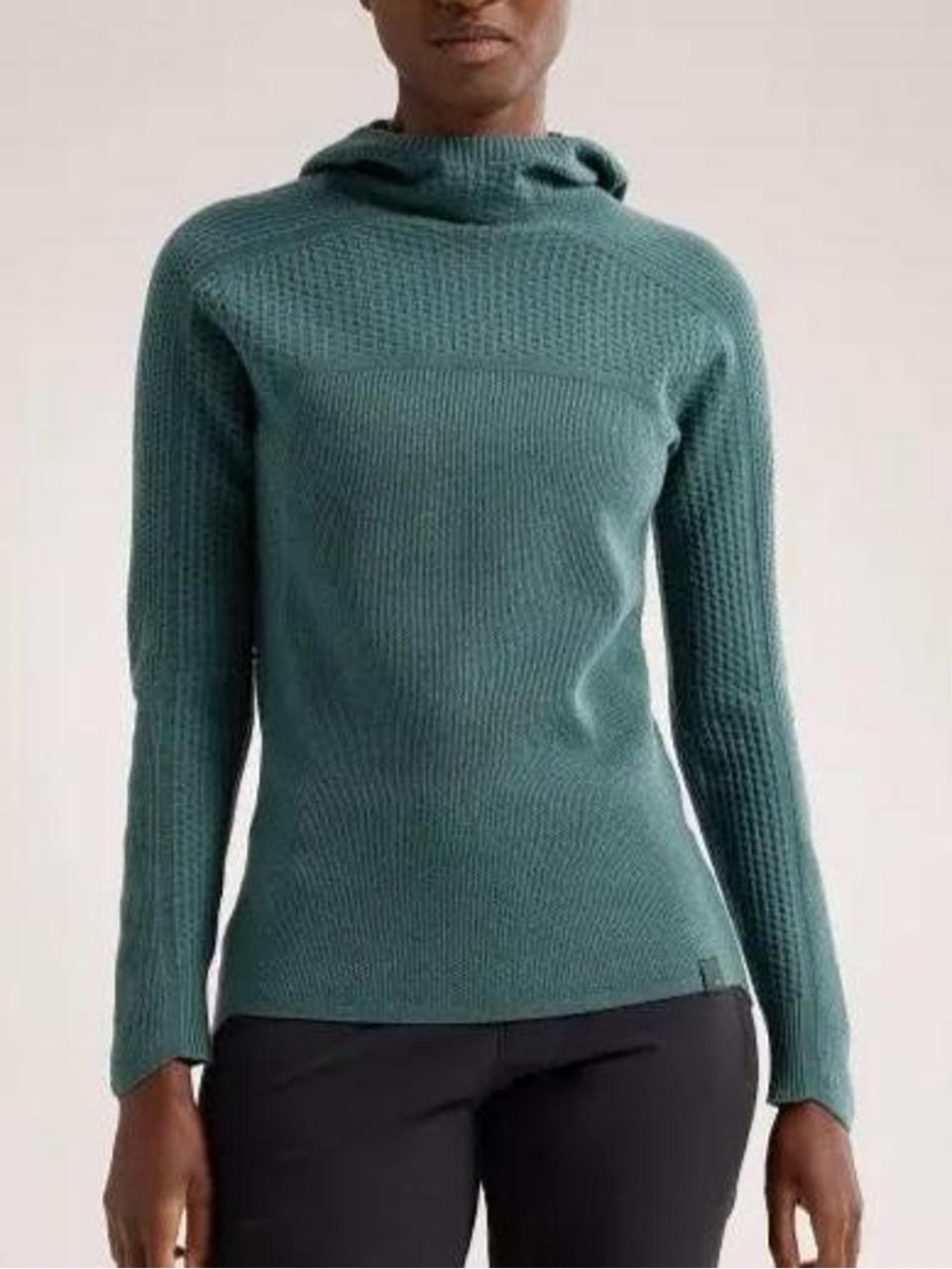 Arc’teryx women’s Hallam Merino Wool Hoody